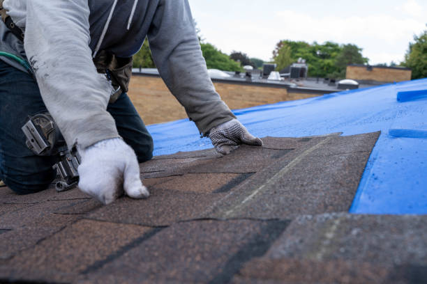 Best New Roof Installation  in Williams, CA