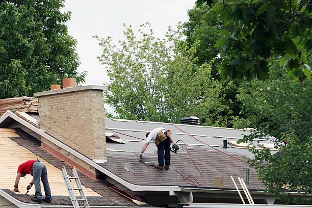 Best Roof Gutter Cleaning  in Williams, CA
