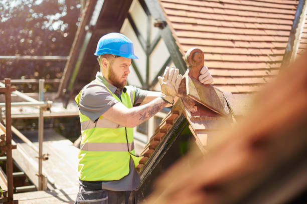 Roof Gutter Cleaning in Williams, CA